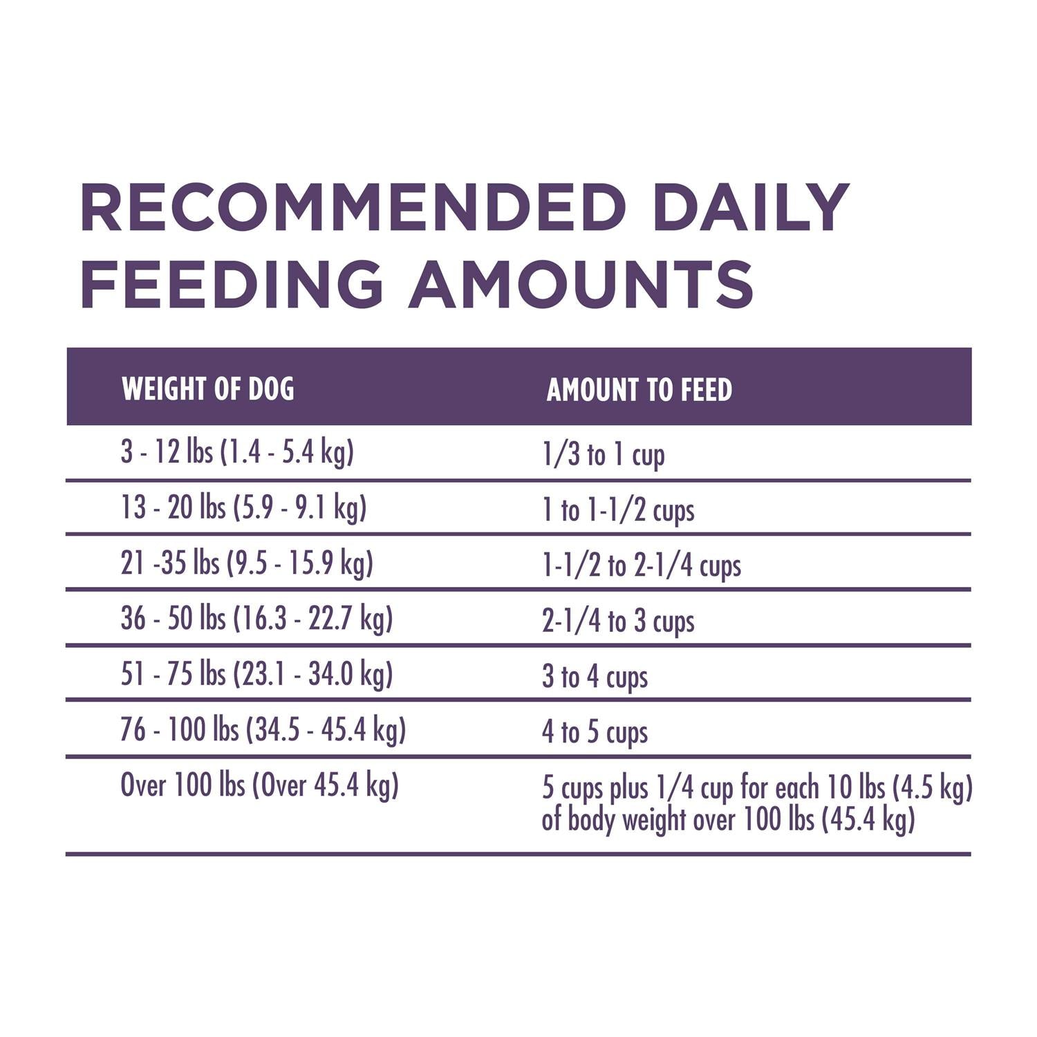 Adult Dry Dog Food Senior Z6158
