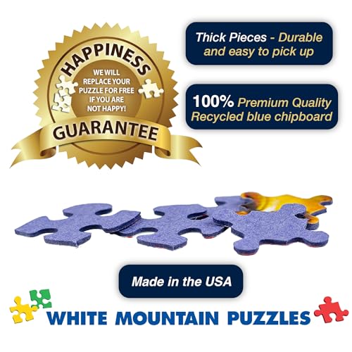 1000 Piece Jigsaw Puzzle 24"x30" Large Pieces H36624