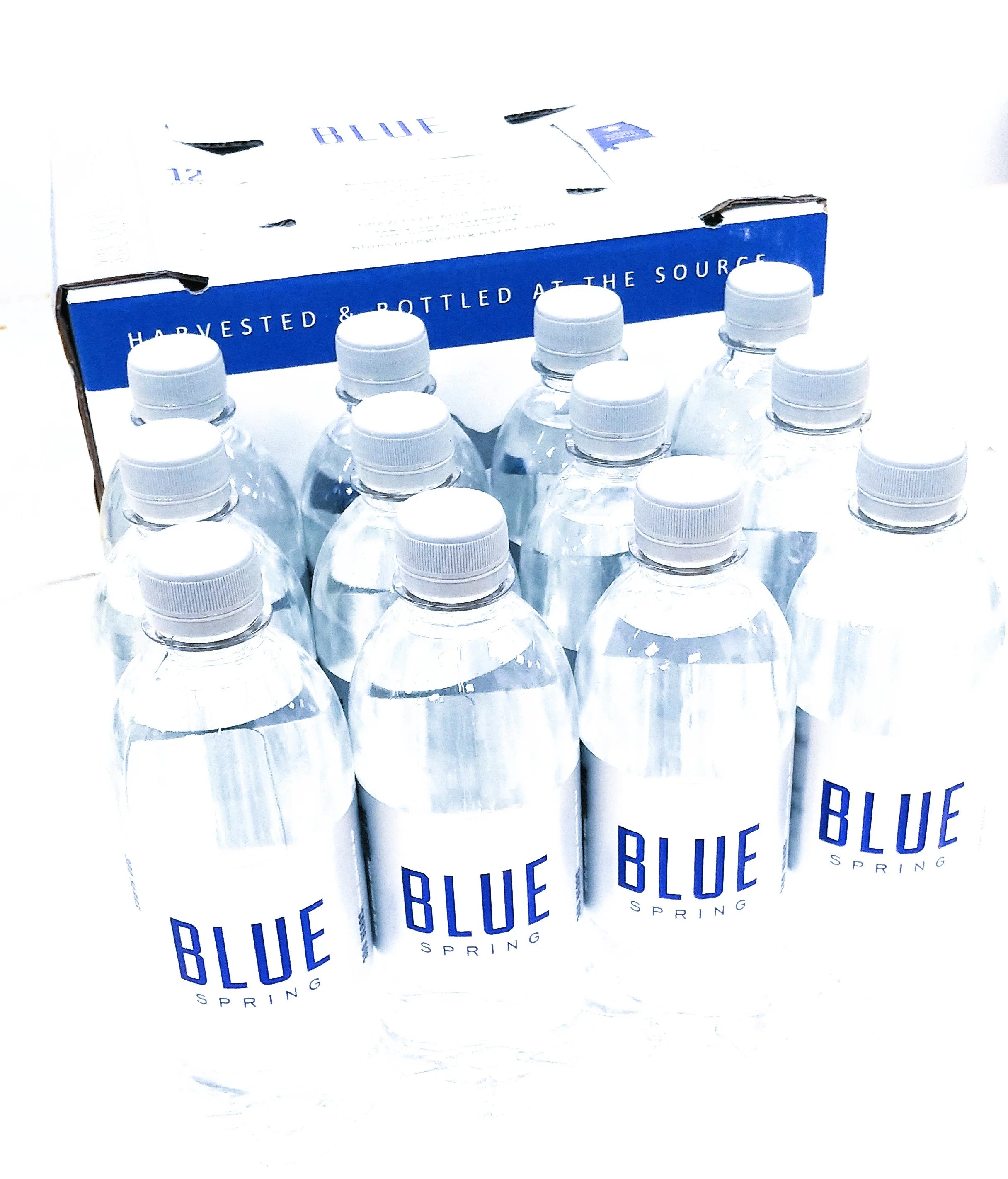 Natural Spring Water 16.9fl oz, 12 Pack A38062