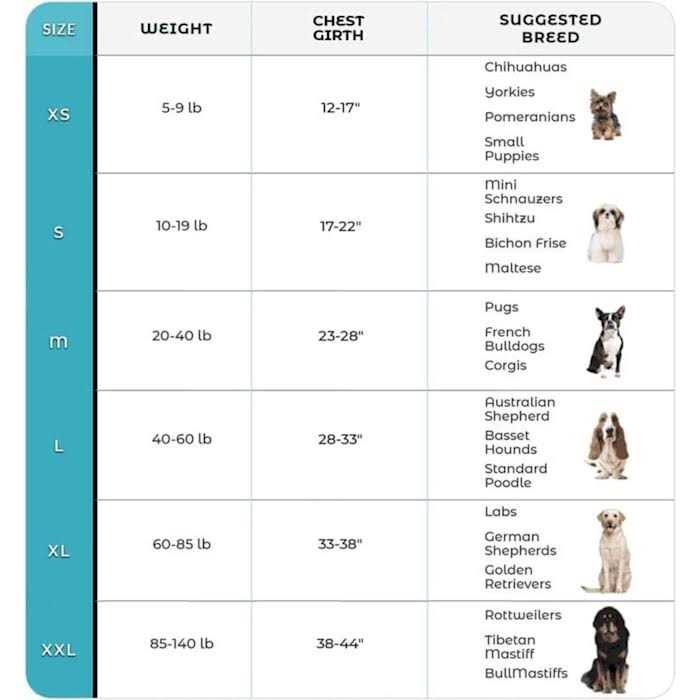 No Pull Easy On-Off Dog Harness D358