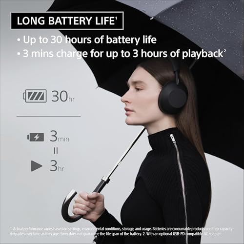 Black Wireless Noise Canceling Headphones with 30-Hour Battery C4485