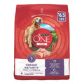 Adult Dry Dog Food Senior Z6158