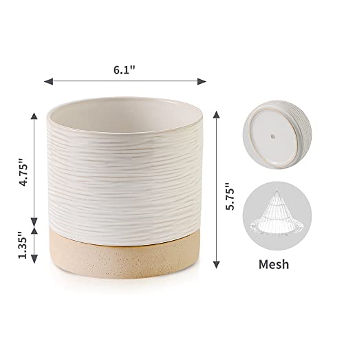 6 Inch Ceramic Self Watering Plant Pot with Drainage Hole Q388219