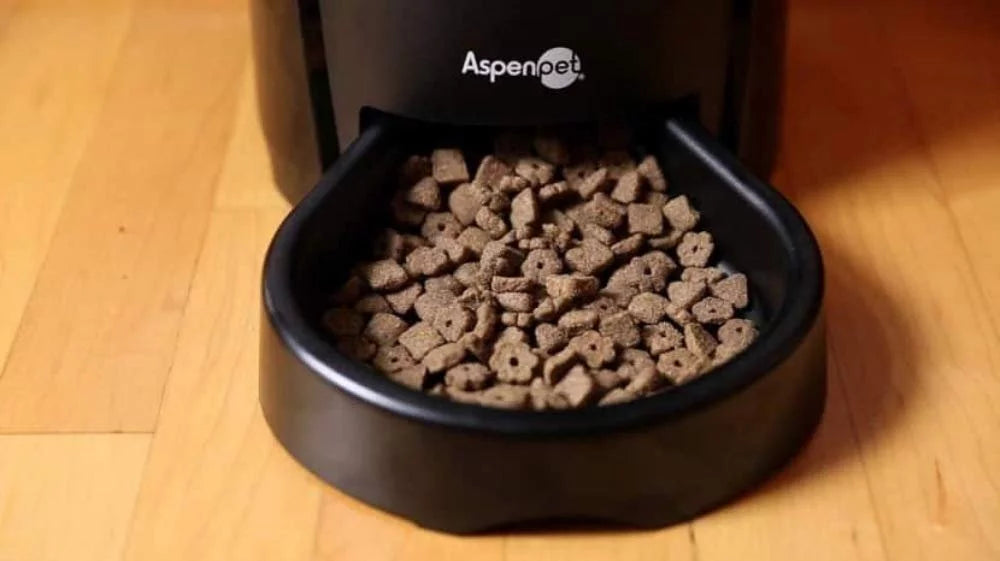 Programmable Dog and Cat Food Dispenser, 18 Cup Y524503