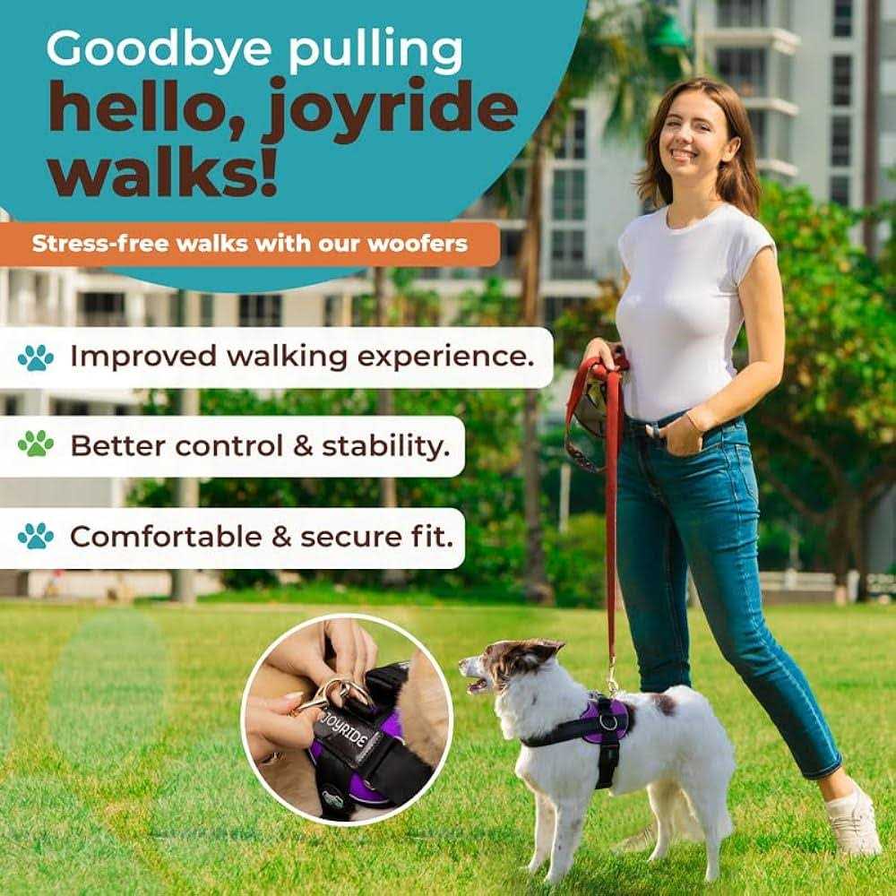 No Pull Easy On-Off Dog Harness D358