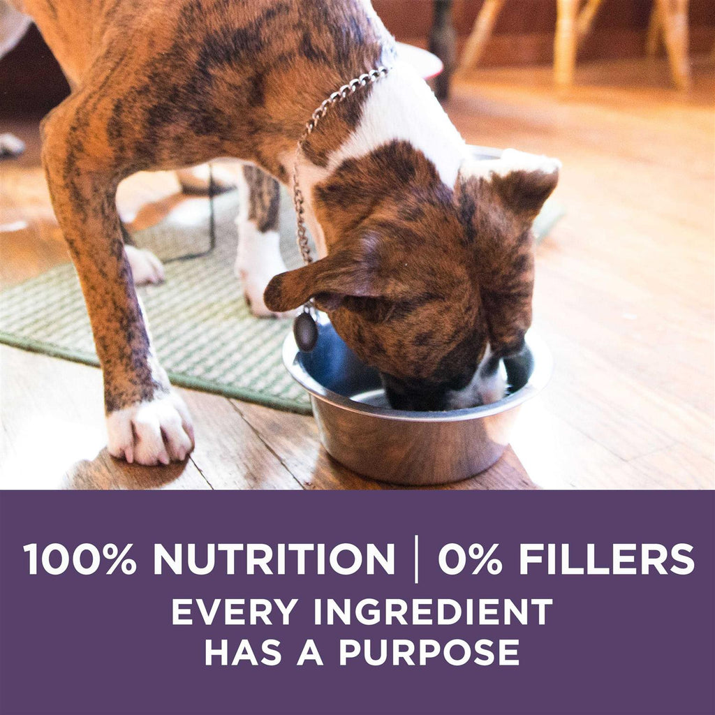Adult Dry Dog Food Senior Z6158