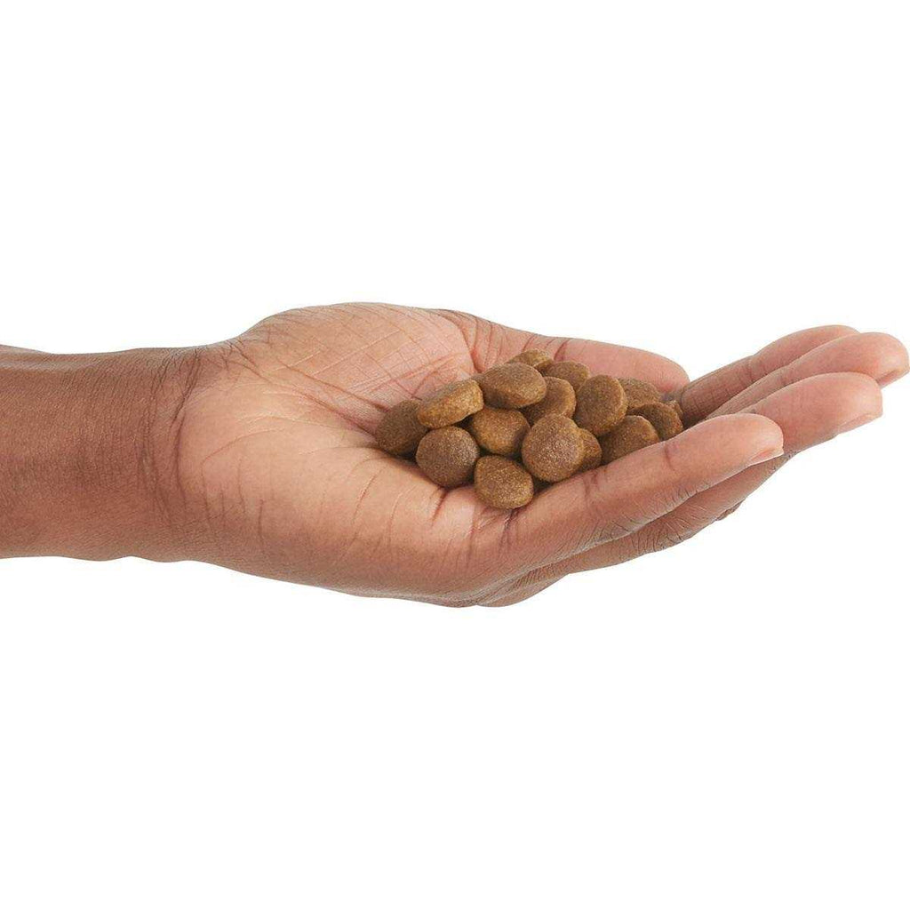 Free-Run Poultry Dry Dog Food H71280