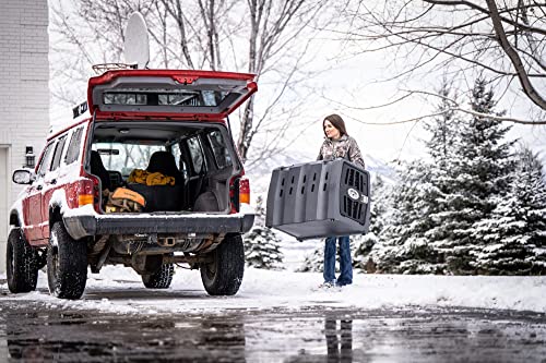 Large Portable Dog Crate G933551