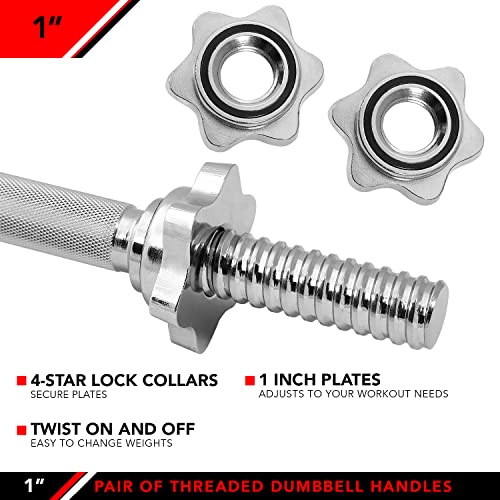 Set of 2 Threaded Dumbbell Handles with Star Collars X413