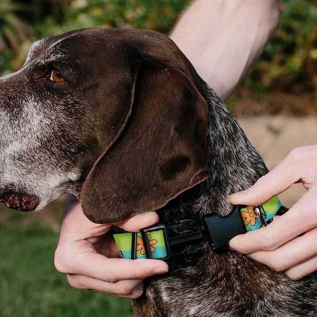Scooby Doo The Mystery Machine Dog Collar P3512