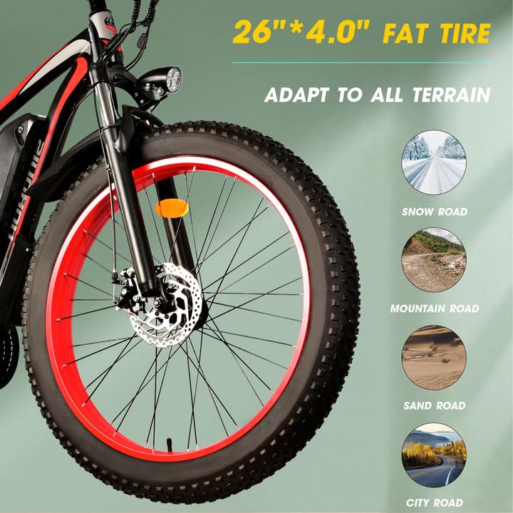 26'' Fat Tire Electric Bicycle with 750W Motor and 48V 13Ah Lithium Battery O522423