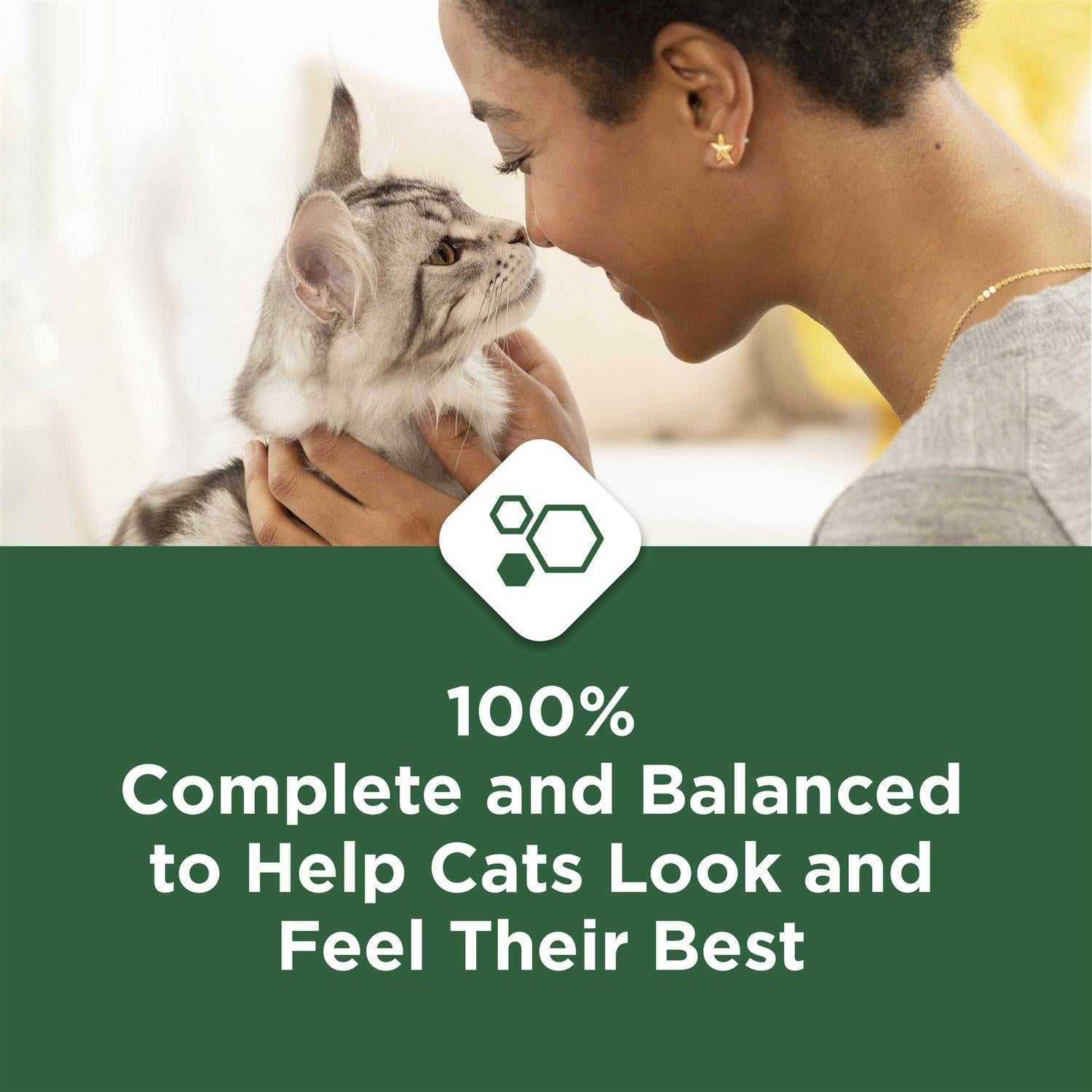 Indoor Dry Cat Food R789