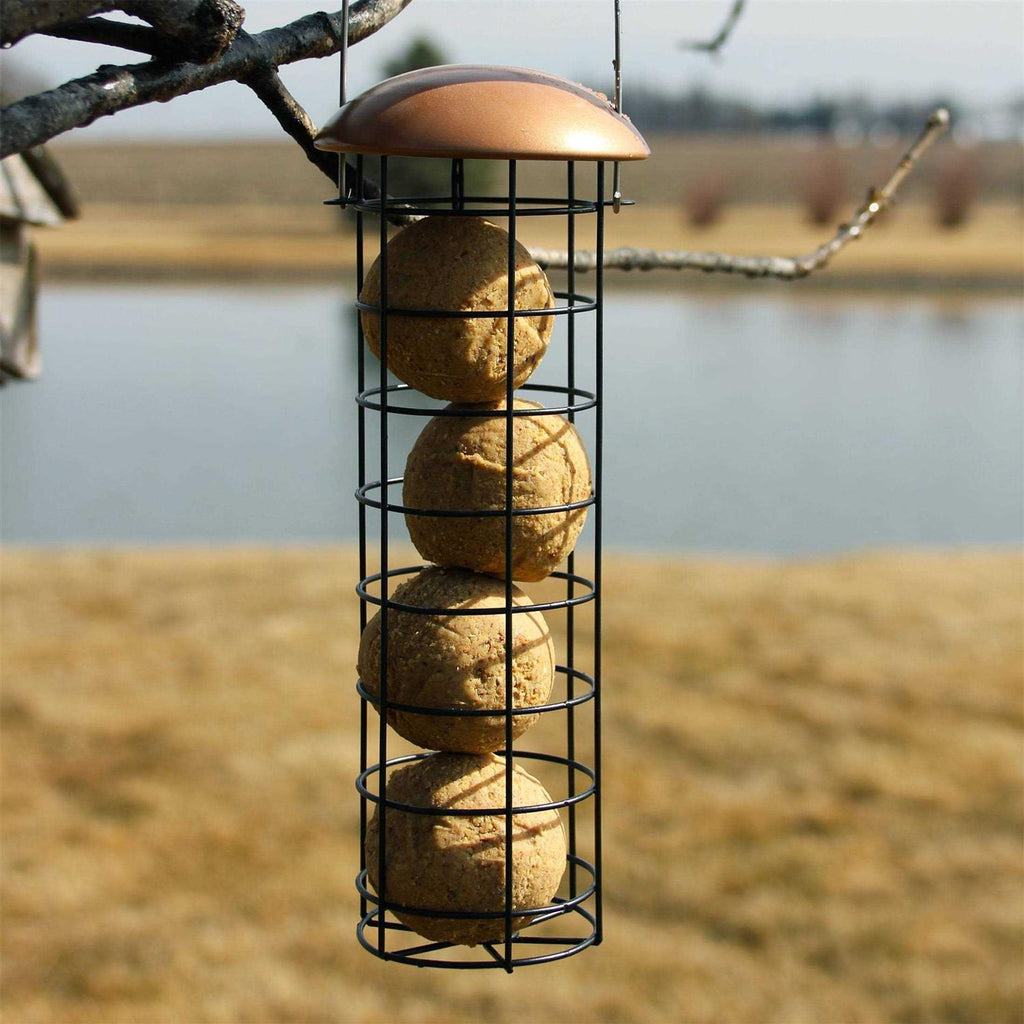 No-Melt Peanut Delight Suet Dough Balls E617
