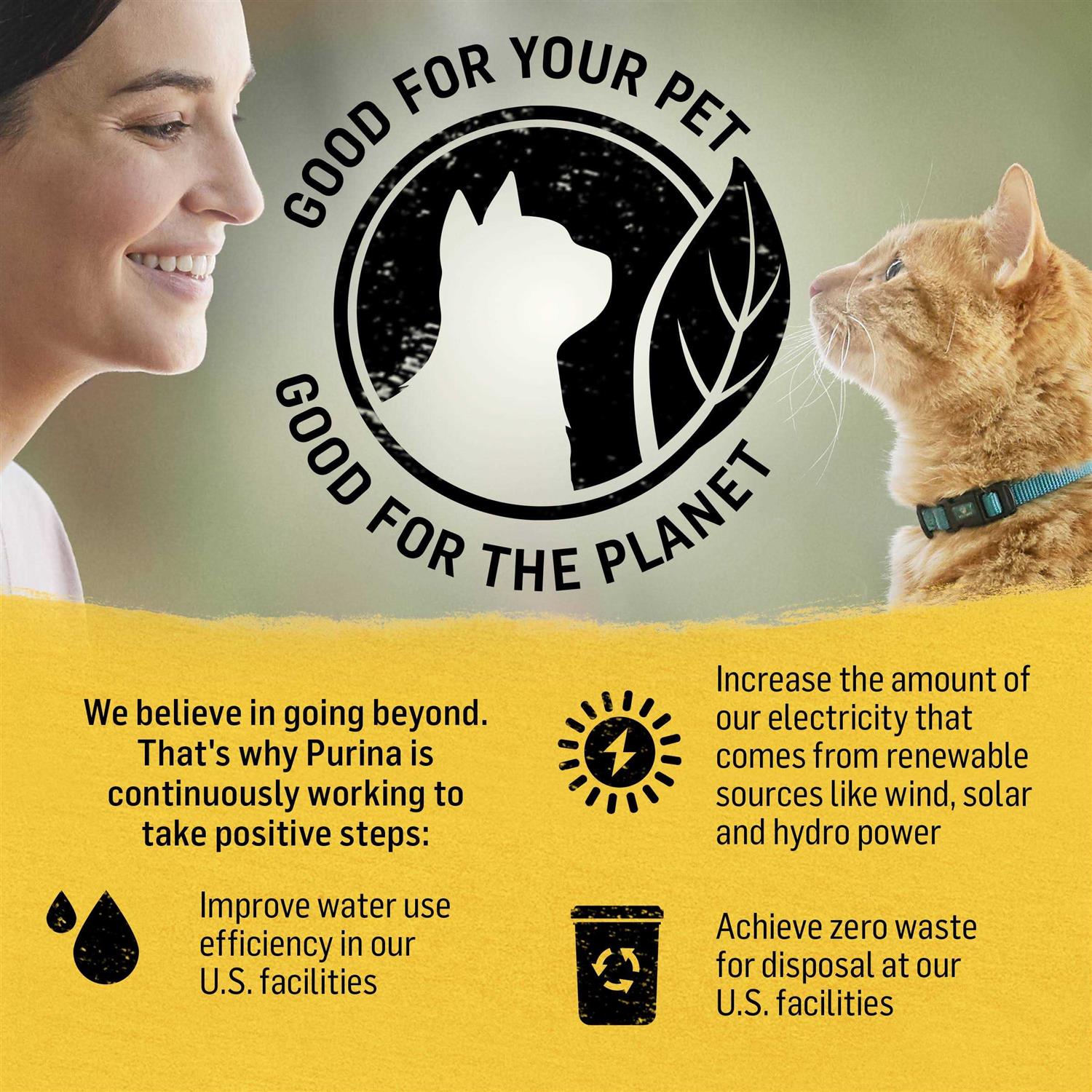 Cat Dry Food Z523
