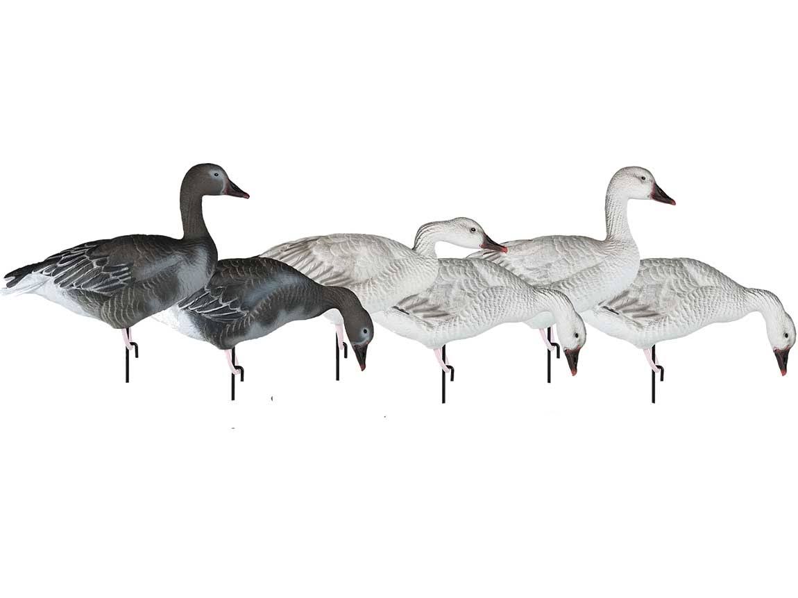 6 Pack Goose Decoys L6268