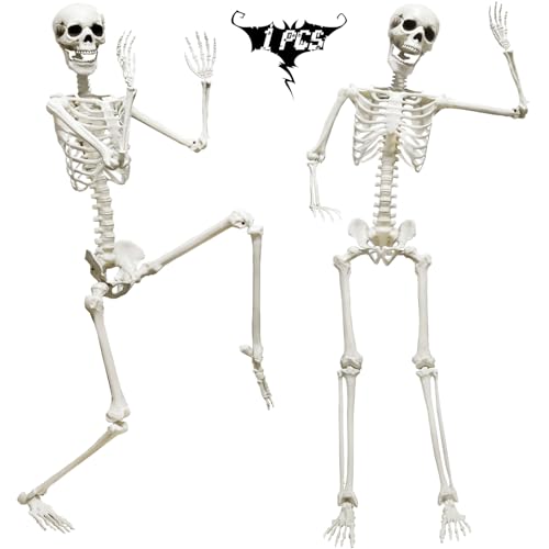 Life Size Skeleton with Posable Joints Glowing Eyes F40711