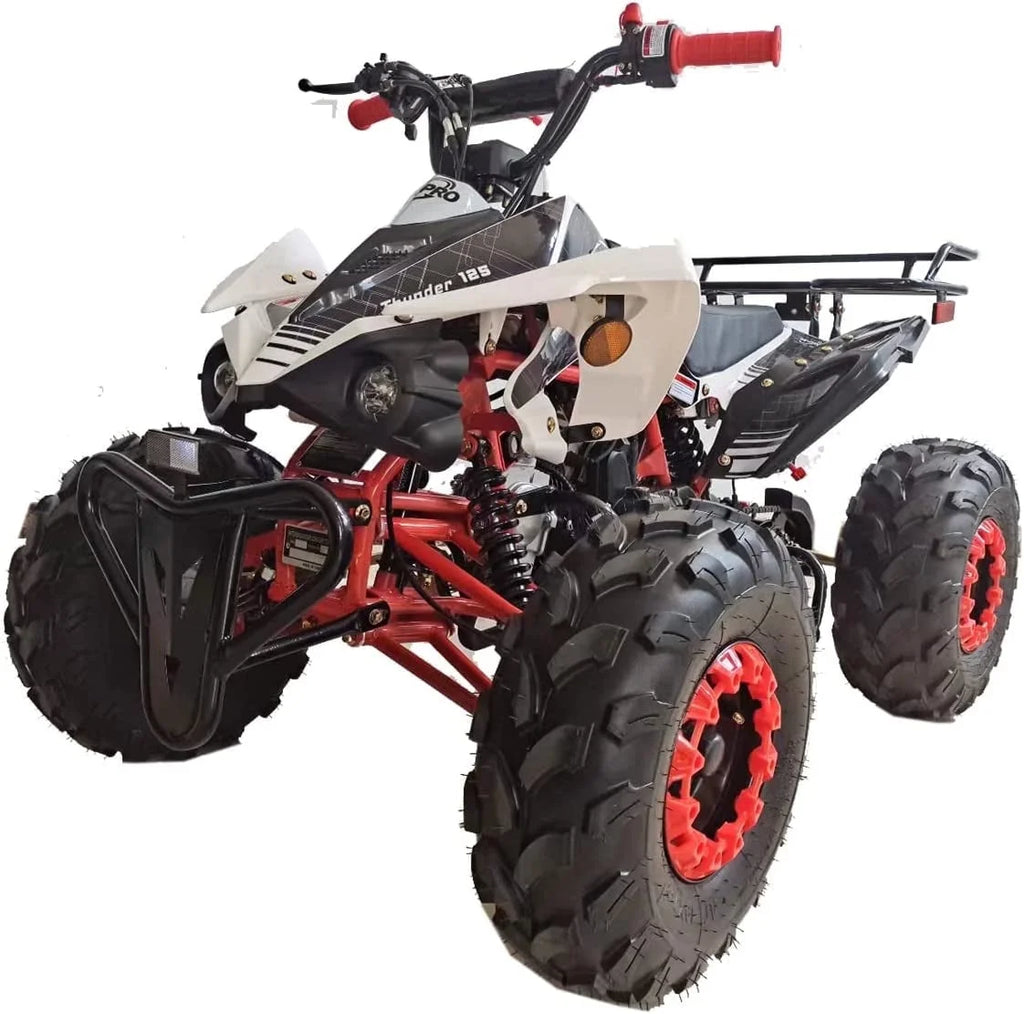 125cc Gas ATV with Automatic Transmission G23295