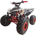 125cc Gas ATV with Automatic Transmission G23295