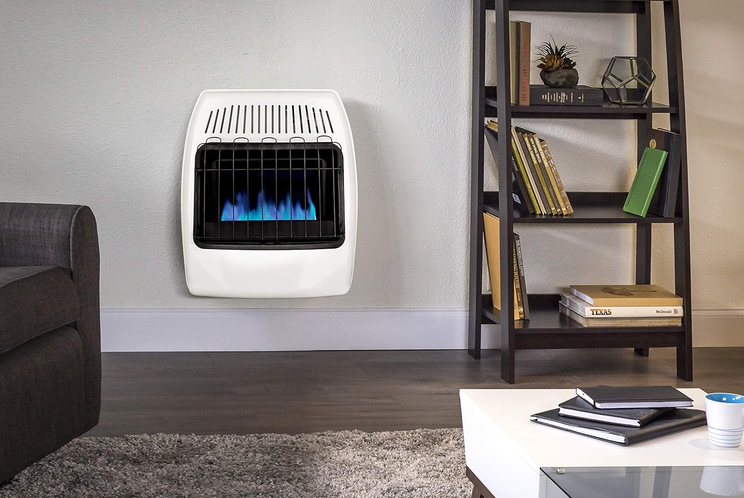 White 20,000 BTU Natural Gas Wall Heater R444