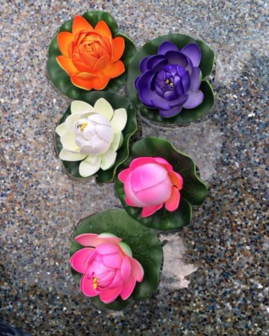 Water Garden Fountain KIT with Liner & Pump 9' X 6' Liner & 5 Water Lilies O60037