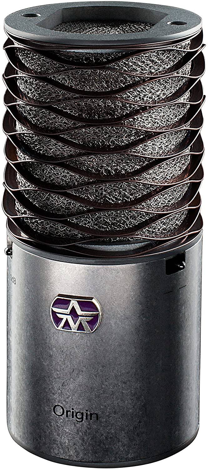 Large Diaphragm Cardioid Condenser Microphone with Boom Mic Stand and Mic Cable Z2537