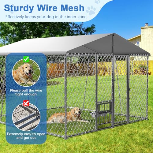 Large Outdoor Dog Kennel with Cover Q12272