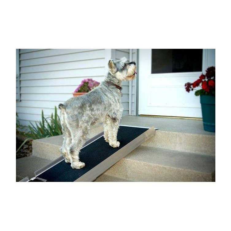 Telescoping Ramp C585827