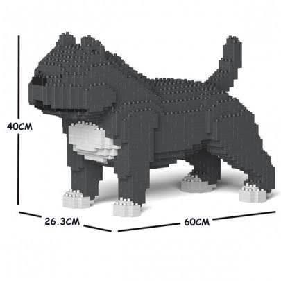 Blue/Grey Medium American Bully Gift W984821