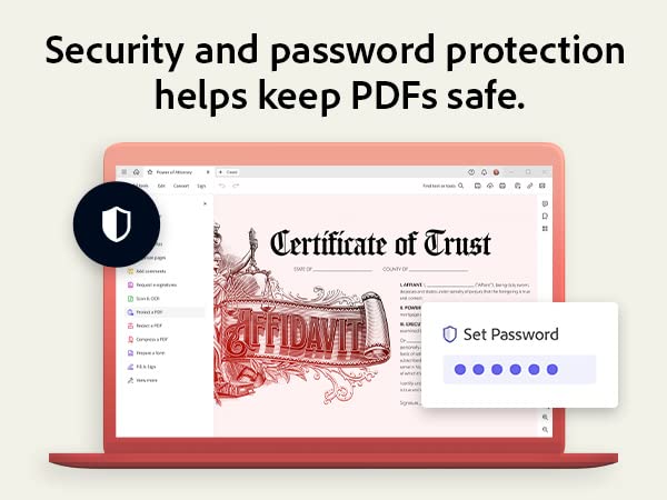 12-Month Subscription PDF Software F519
