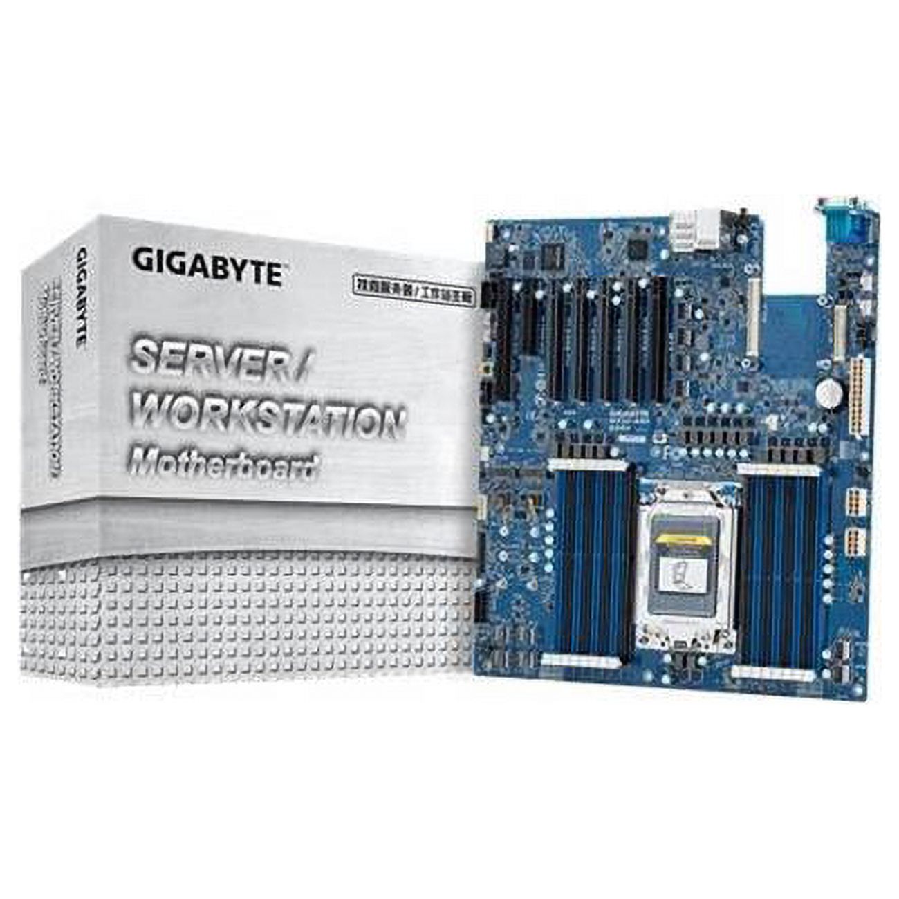 Socket SP3 AMD Chipset Extended ATX Server Motherboard Y1241