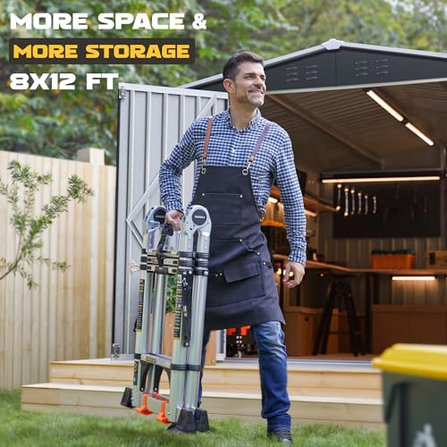 8 x 12 FT Metal Outdoor Storage Shed Black U62580