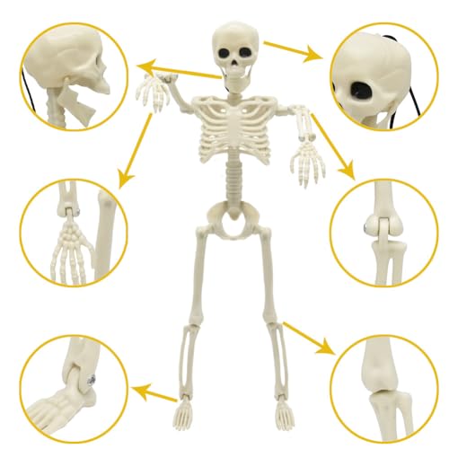 Life Size Skeleton with Posable Joints Glowing Eyes F40711