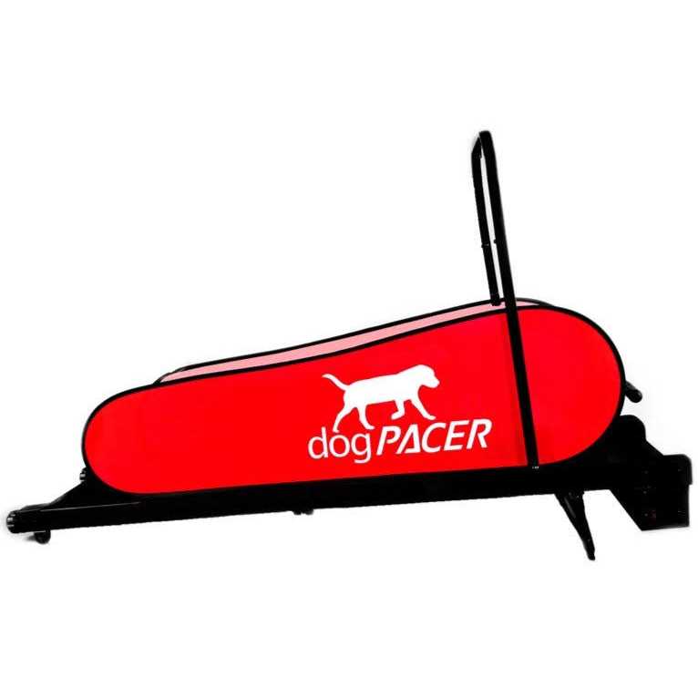 Dog Treadmill B2209