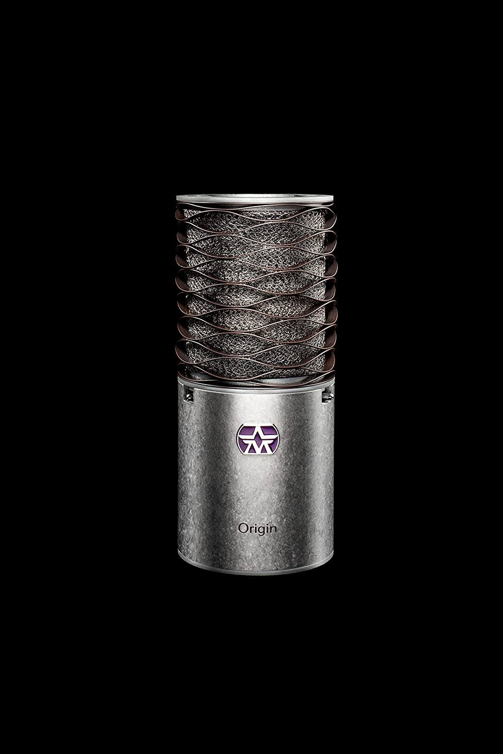 Large Diaphragm Cardioid Condenser Microphone with Boom Mic Stand and Mic Cable Z2537