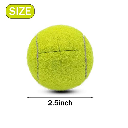 4 PCS Precut Walker Tennis Balls for Furniture Legs (Grey) N840536