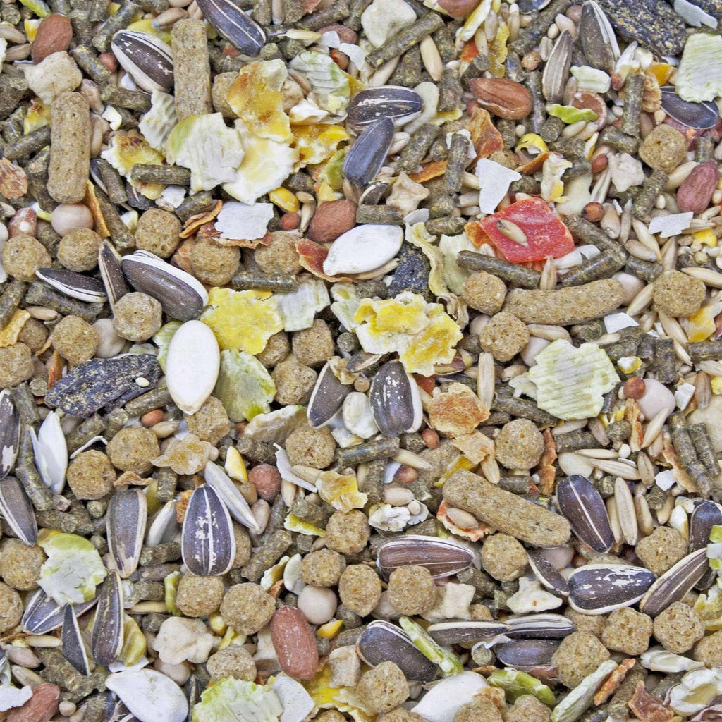 Gourmet Blend Gerbil & Hamster Food O2442
