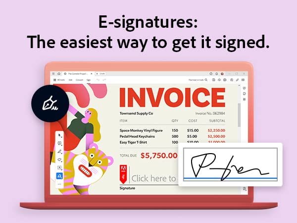 12-Month Subscription PDF Software F519