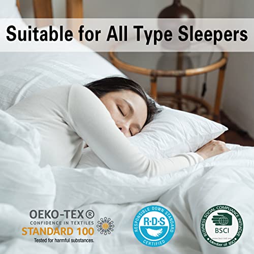 Queen Size 2 Pack Down Feather Pillow with 100% Cotton Cover L138007