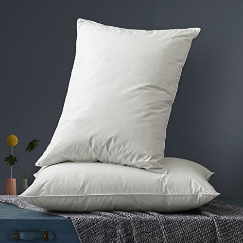 Queen Size 2 Pack Down Feather Pillow with 100% Cotton Cover L138007