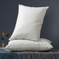 Queen Size 2 Pack Down Feather Pillow with 100% Cotton Cover L138007