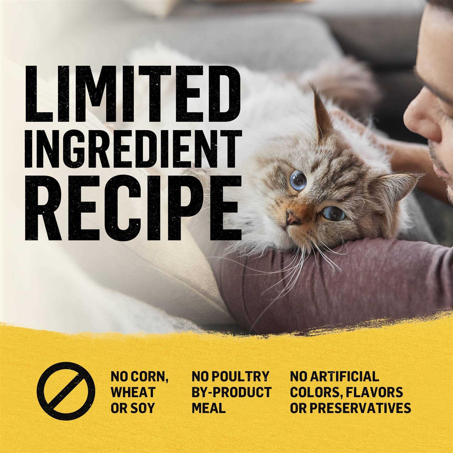 Cat Dry Food Z523