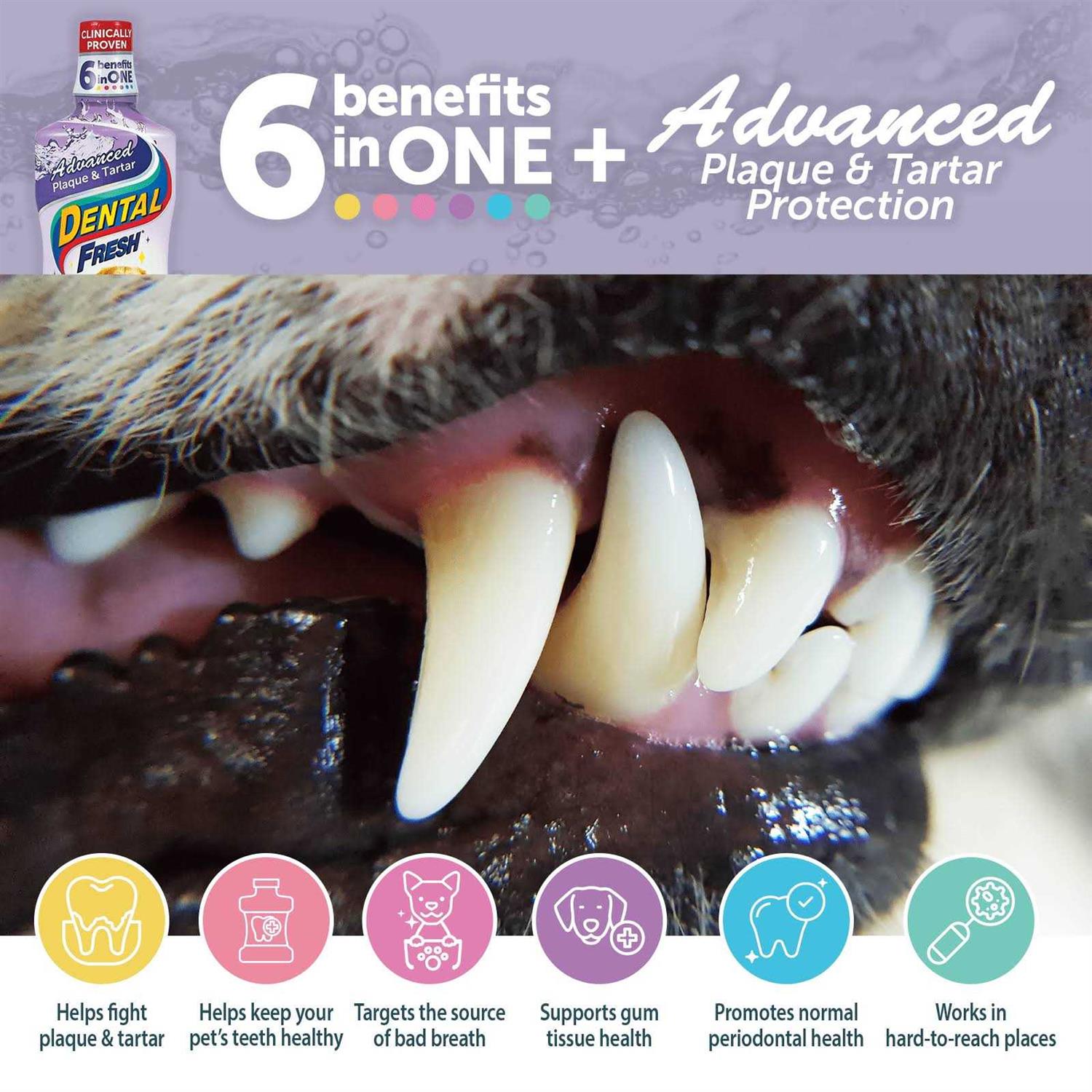 Dental Fresh Advanced Plaque and Tartar Water Additive for Dogs T9857