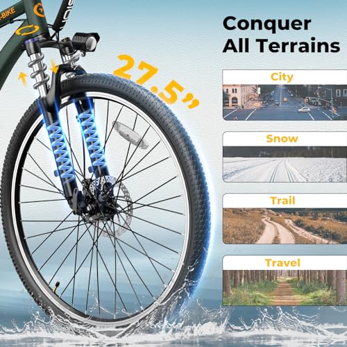 750W Peak Motor Electric Mountain Bike with 480 WH Removeable Battery E989418