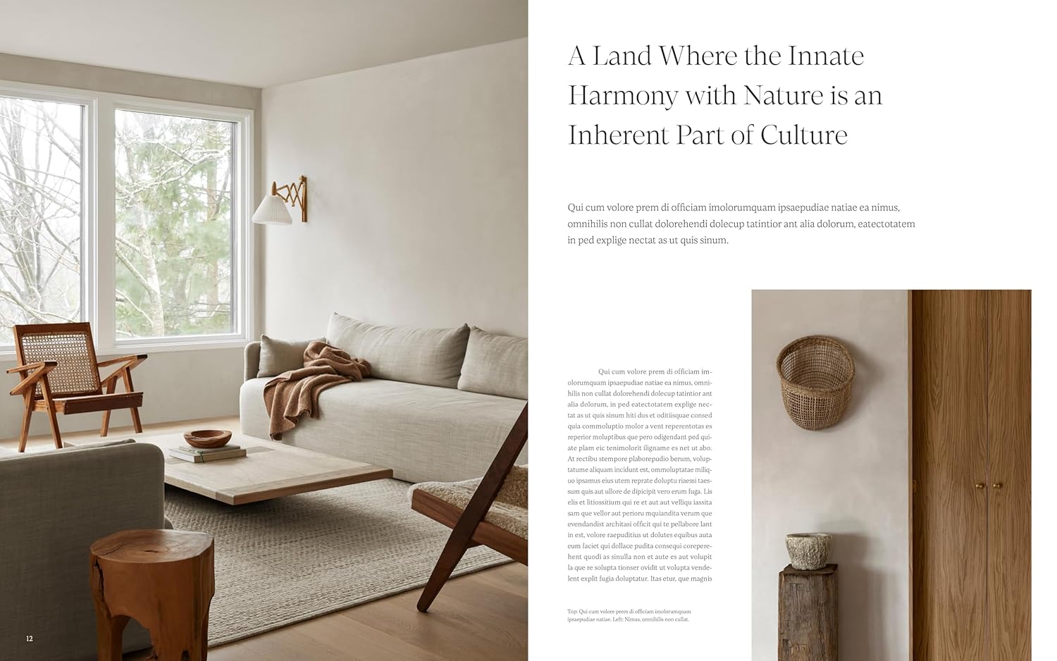 Scandinavian Living Interiors and Design J6194