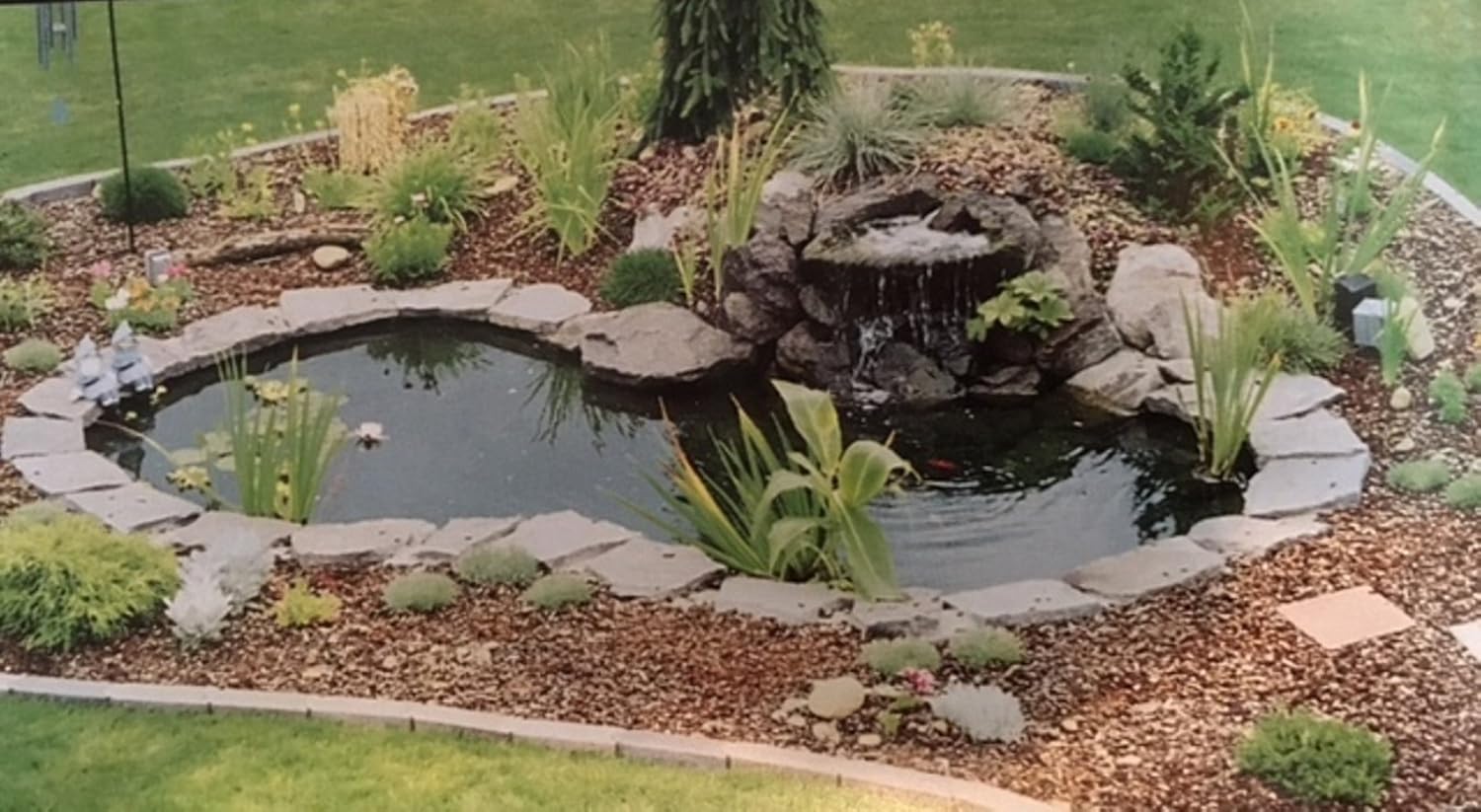 Water Garden Fountain KIT with Liner & Pump 9' X 6' Liner & 5 Water Lilies O60037