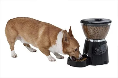 Programmable Dog and Cat Food Dispenser, 18 Cup Y524503