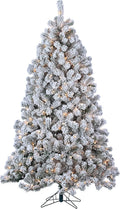 7 ft Pre Lit Clear Flocked Pine T164852