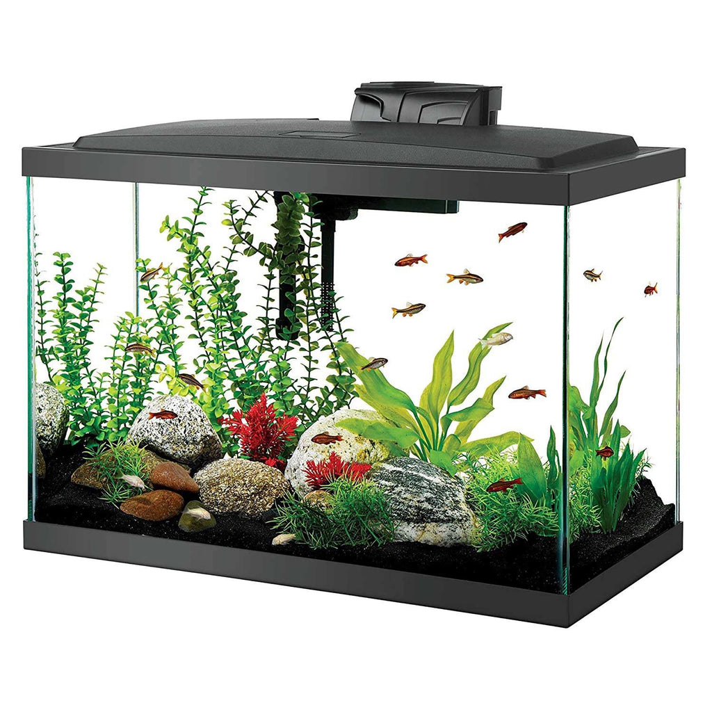 20 Gallon LED Aquarium Kit E4620