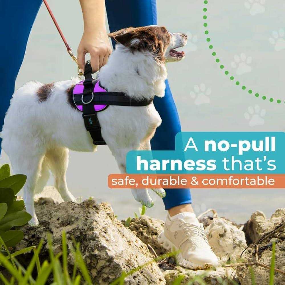 No Pull Easy On-Off Dog Harness D358