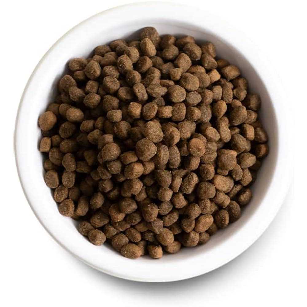 Whitefish & Ancient Grains Dry Dog Food B290296
